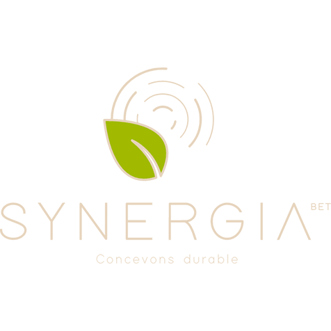 Logo synergia bet